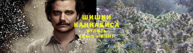 Бошки марихуана OG Kush  Злынка 